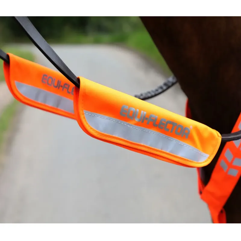 Shires EQUI-FLECTOR Bridle Bands in Orange